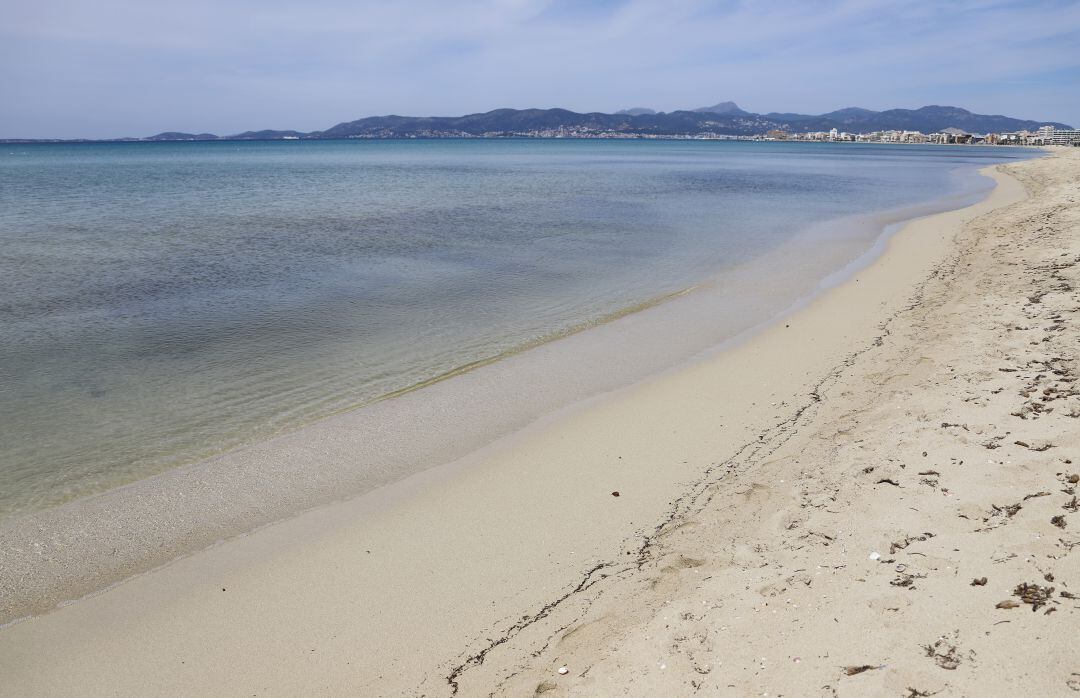 Imagen de la orilla de la playa Arenal en Palma de Mallorca, donde se estudian numerosas especies de fitoplancton, entre ellas las diatomeas