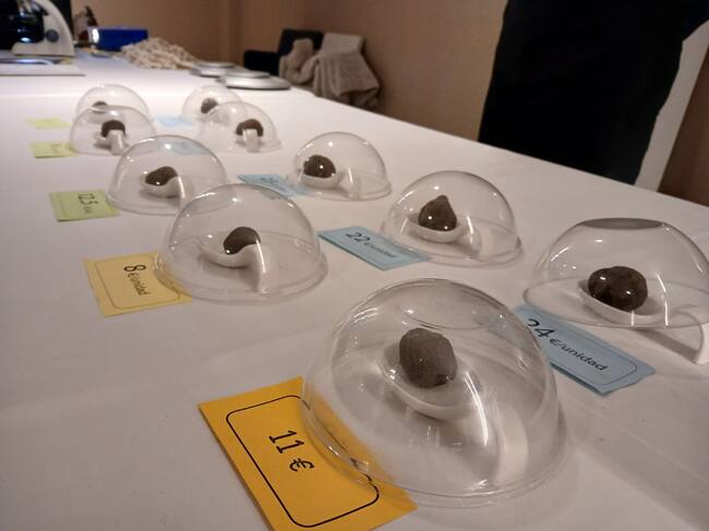 Ejemplares de trufa de Aragón en Trufa-te