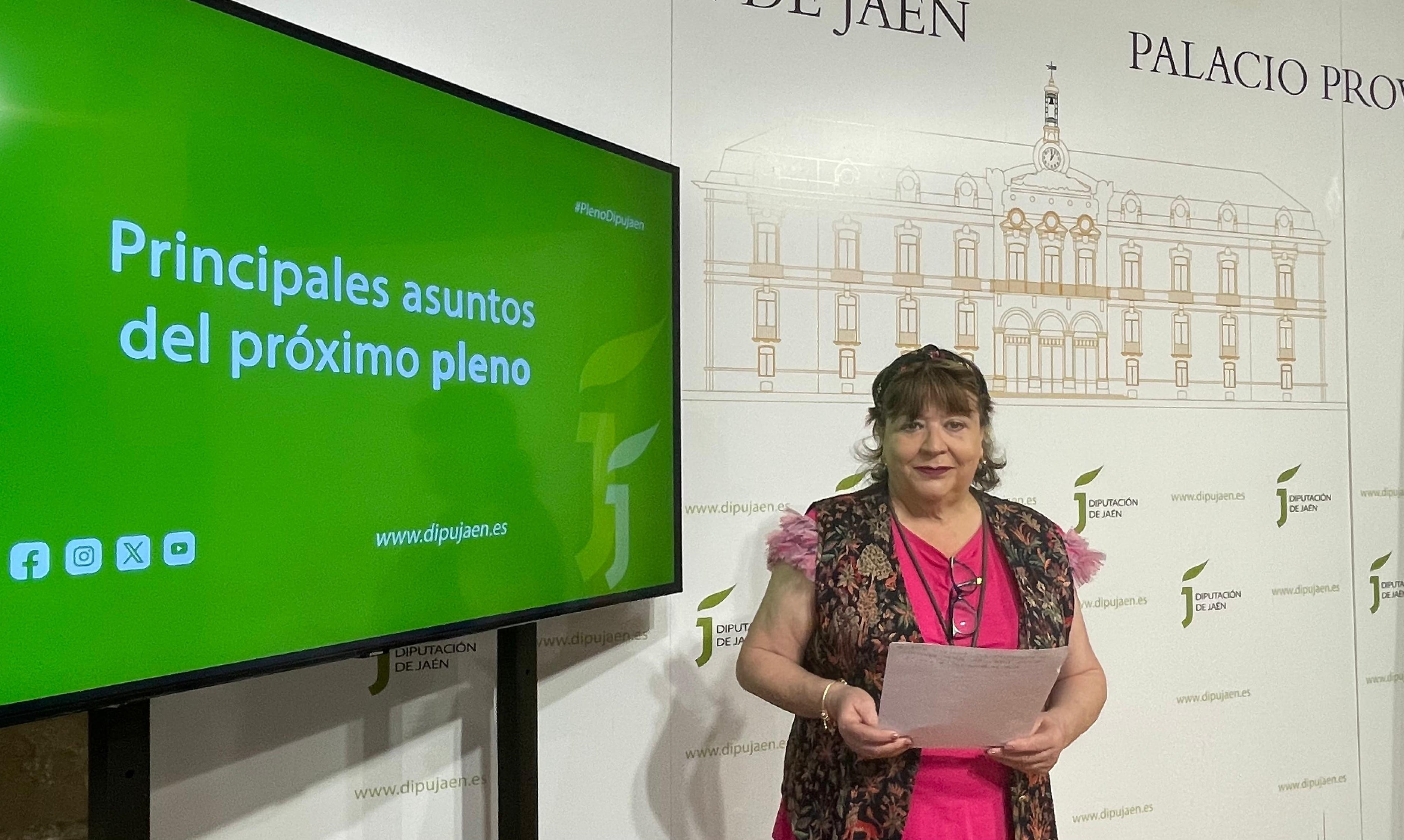 La vicepresidenta tercera de la Diputación, Pilar Parra, durante la presentación de los asuntos del pleno.