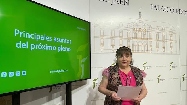 La vicepresidenta tercera de la Diputación, Pilar Parra, durante la presentación de los asuntos del pleno.