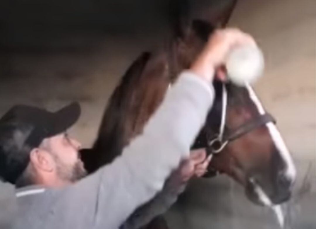 Frame del vídeo en el que un jinete da de beber cava a una yegua