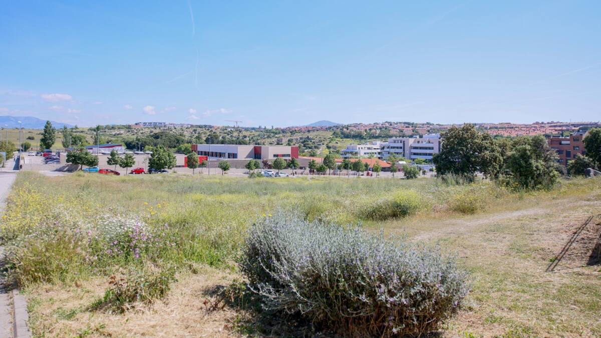 Entrevista a Rut Martínez, portavoz de la Plataforma por la Escuela Pública de Colmenar Viejo, sobre la convocatoria de una manifestación este jueves 29 de mayo