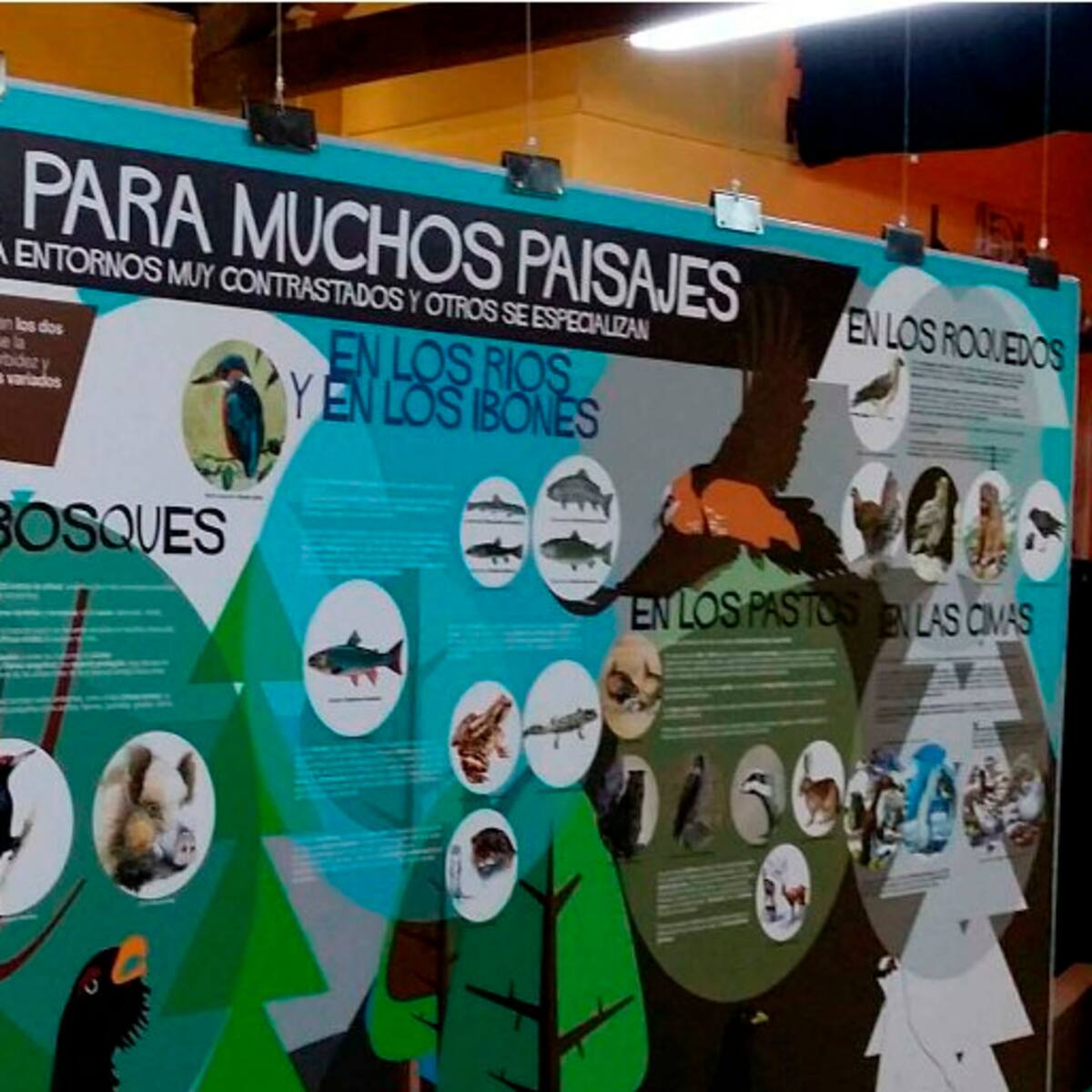 Actividades de verano en el centro de interpretación de Aneto