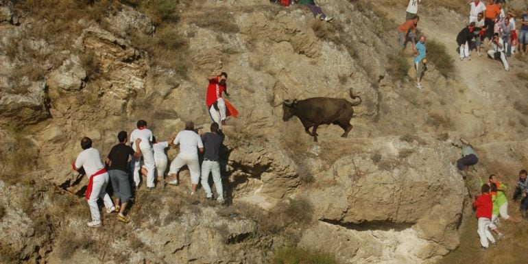 Encierro del Pilón de Falces con parte del público en el monte para presenciar el espectáculo