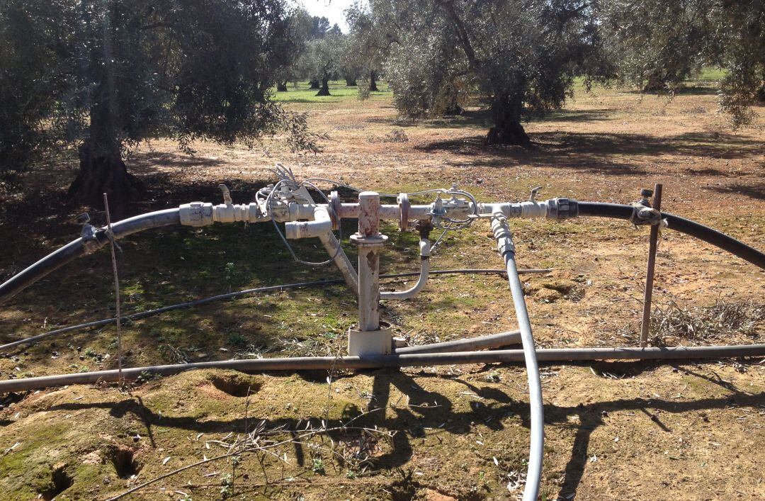 Instalación de riego en un olivar.