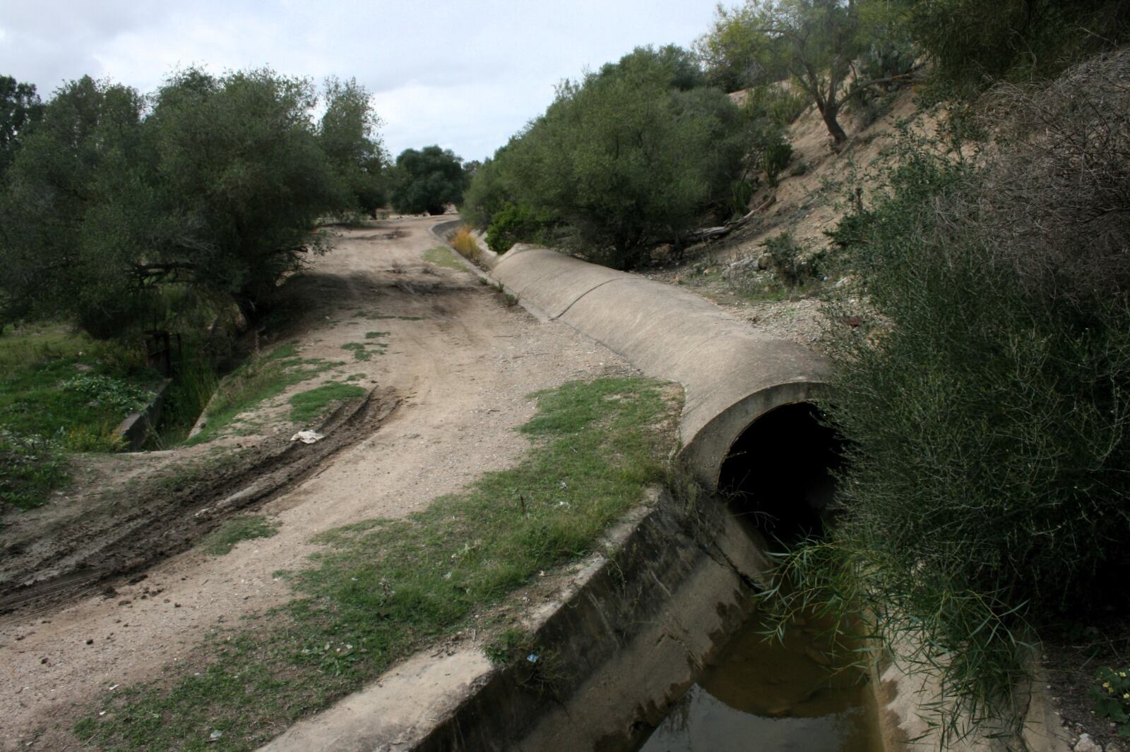 Recorrido Garciagos y Cerro Naranja