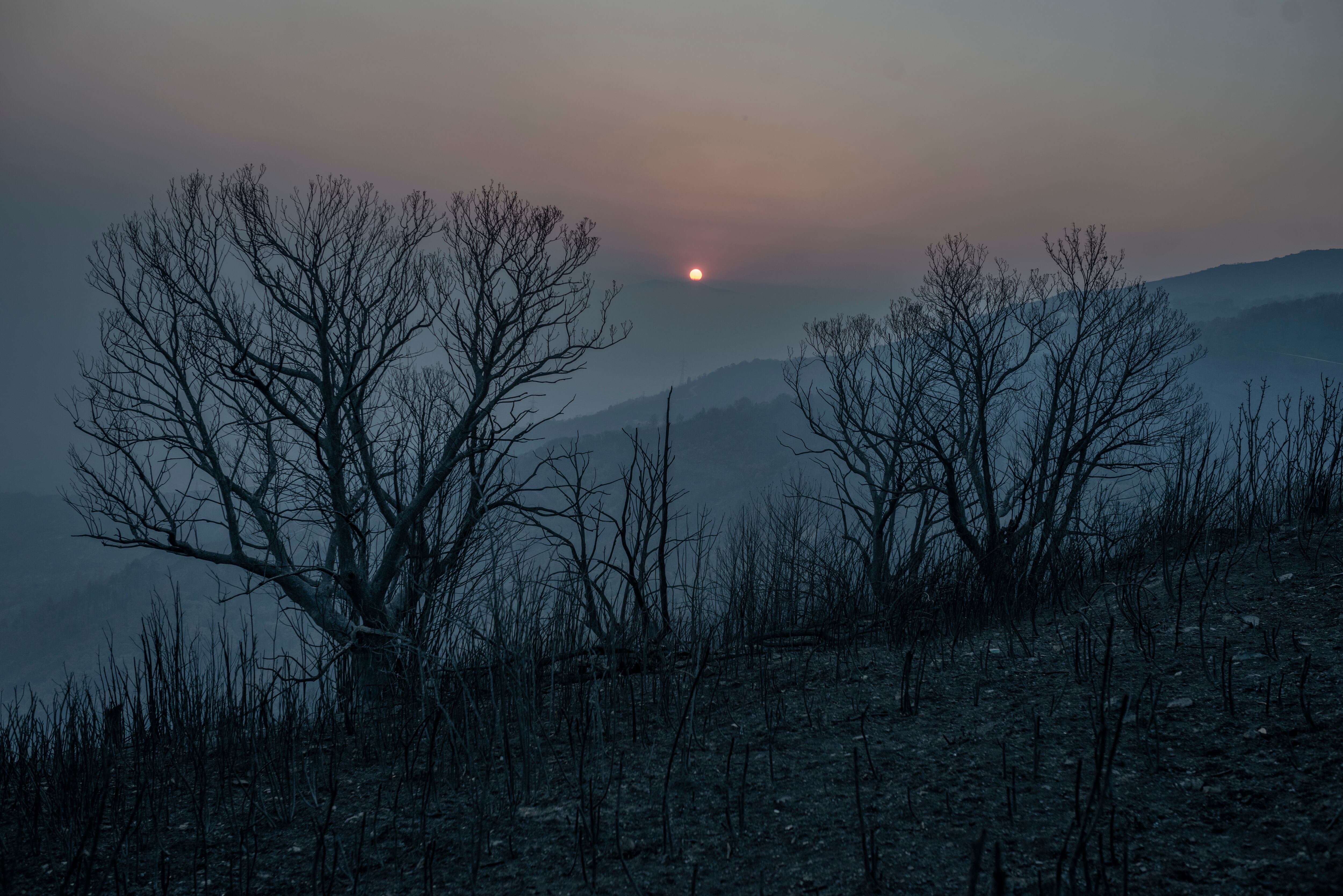 Monte y vegetación completamente calcinados tras el incendio forestal acontecido en O Barco de Valdeorras, en Ourense