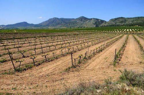 Zona afectada por proyectos fotovoltaicos