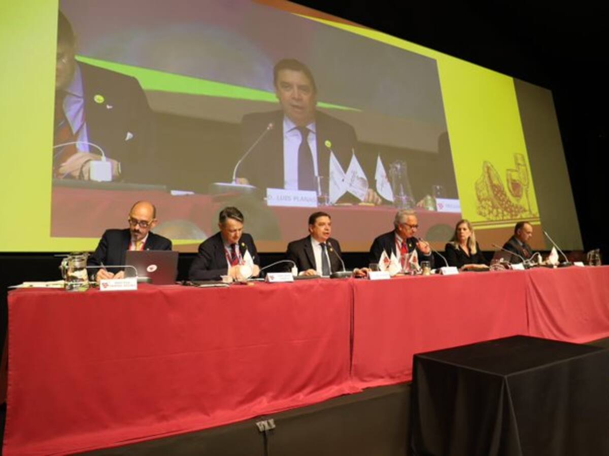 Declaraciones de Luis Planas, ministro de Agricultura, Pesca y Alimentación durante la Asamblea Internacional de la Viña y el Vino en Jerez
