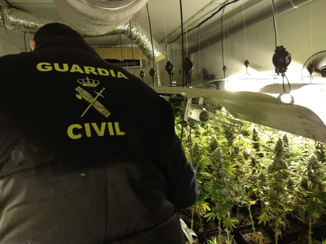 La Guardia Civil interviene una plantación interior de marihuana