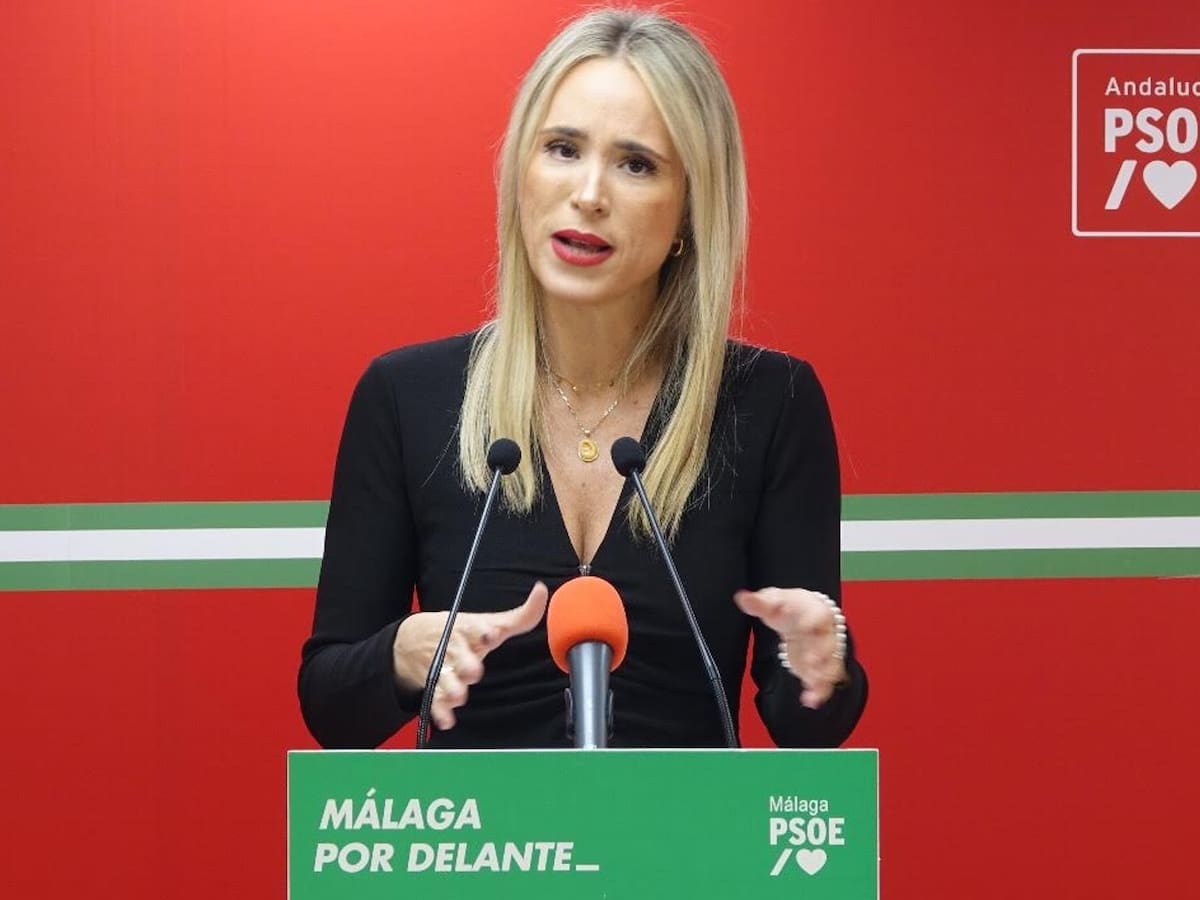 El PSOE llevará al Parlamento los casos de acoso escolar de Villanueva del Trabuco