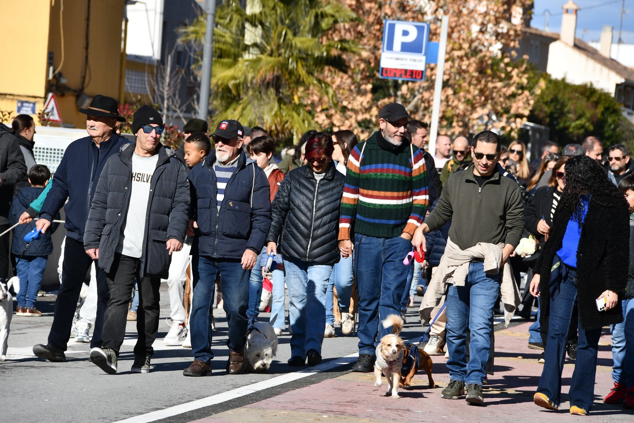 Desfile y bendición animales San Antón Villena