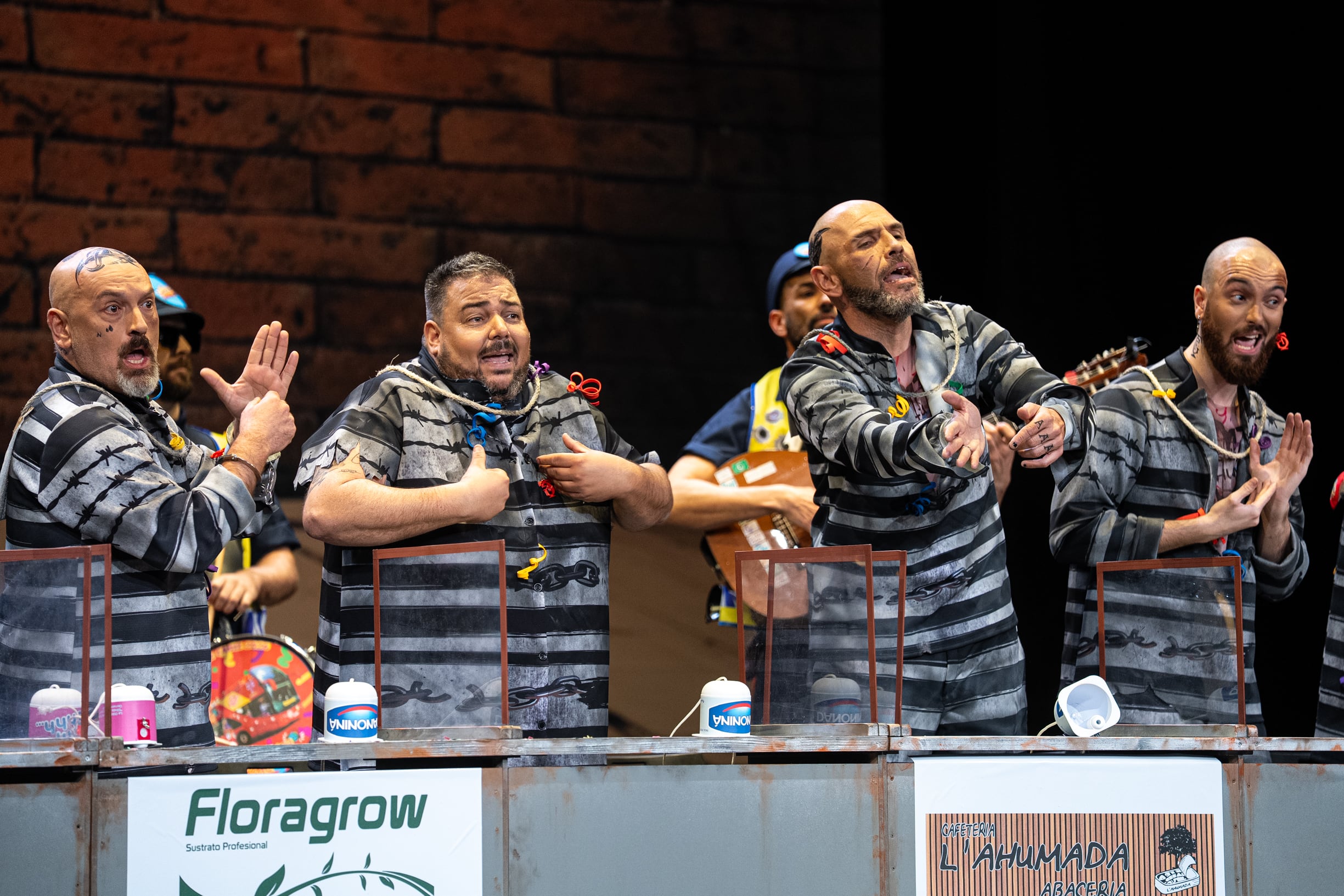 Chirigota: Mírala Cara a Cara.