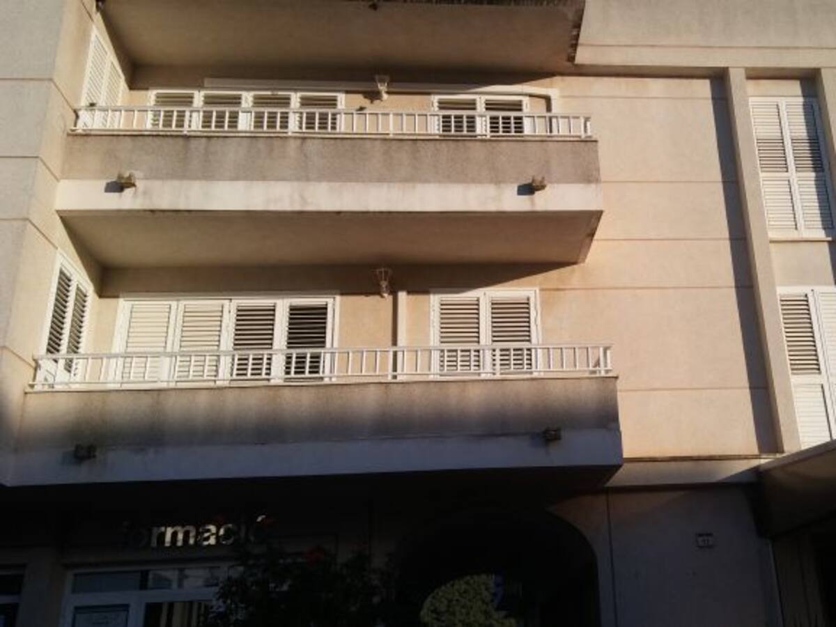 Silvia Tur denuncia retraso en la convocatoria de ayudas para el alquiler