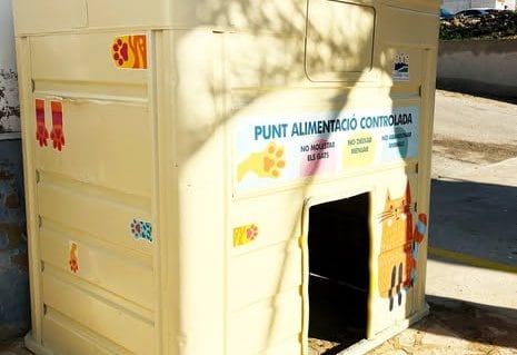 Nuevo punto de alimentación para gatos en La Llosa de Ranes