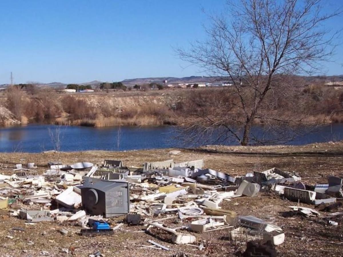 La Ventana de los Números | ¿Economía o ecología?