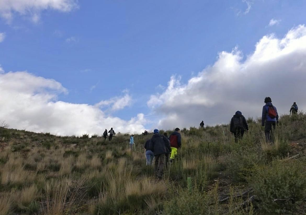 Jóvenes de todo el mundo trabajan en reforestar Riópar, Albacete. Imagen de &#039;Reforest Revive&#039;.