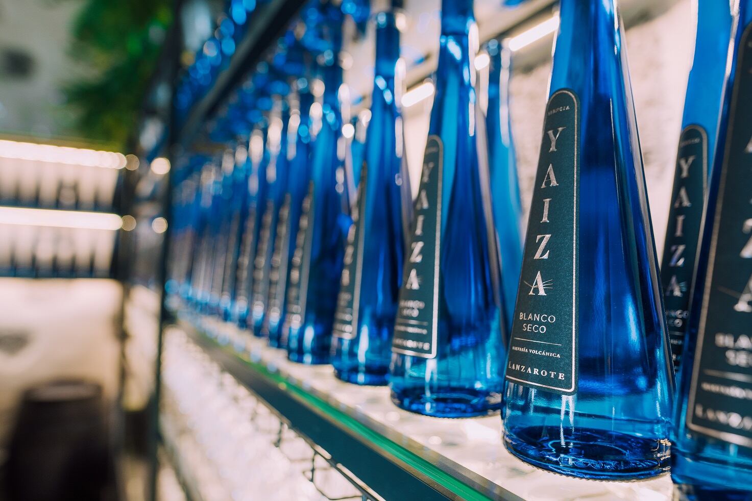 Famosas botellas azules de algunos de los caldos de Vega de Yuco.