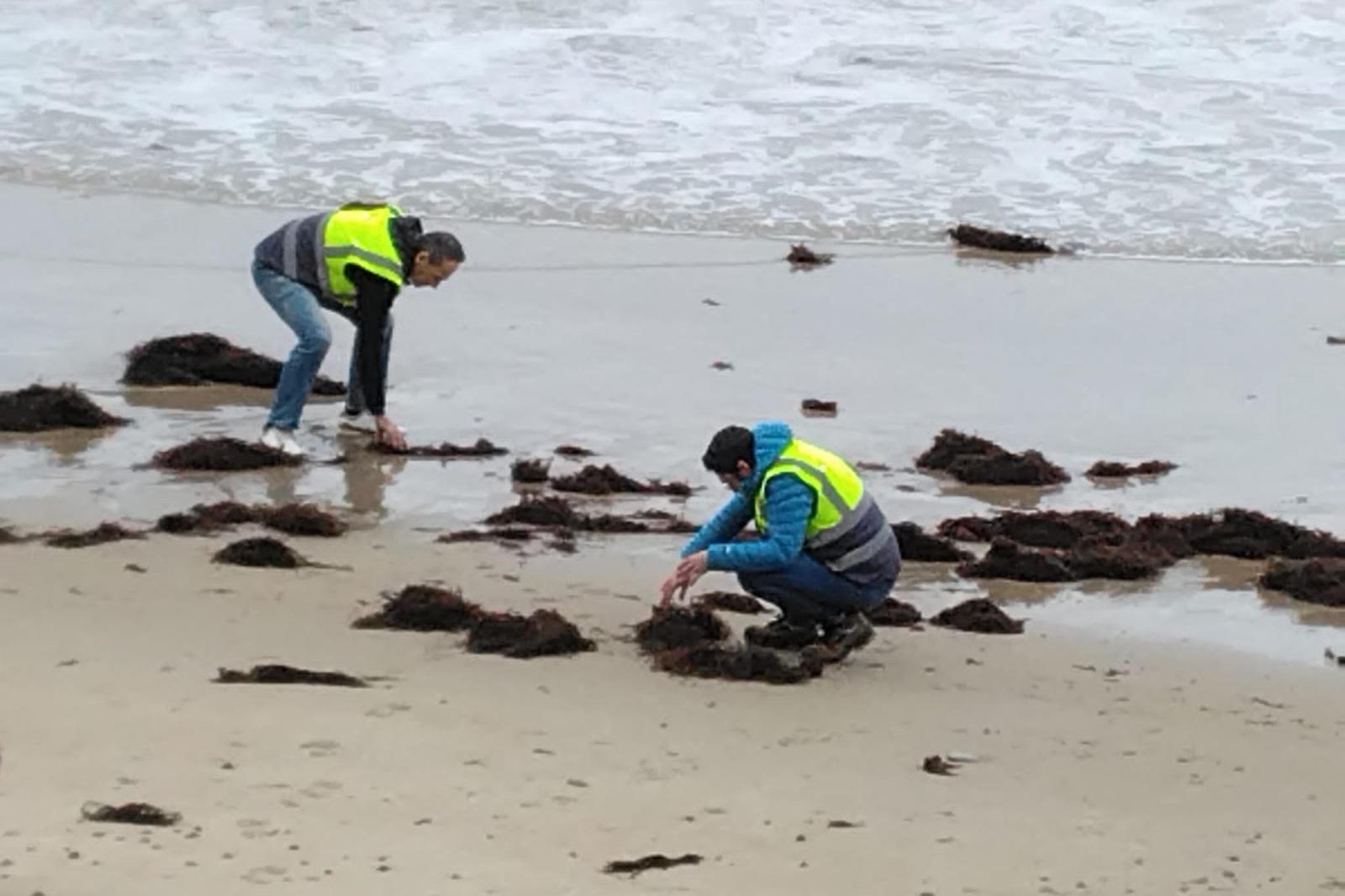 Operarios recogiendo pellets en Cantabria.