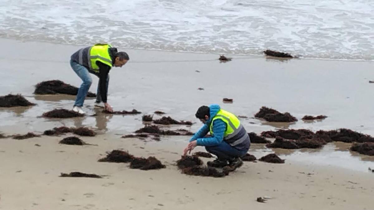Cantabria considera estabilizada la llegada de pellets y no prevé "un cambio de escenario"