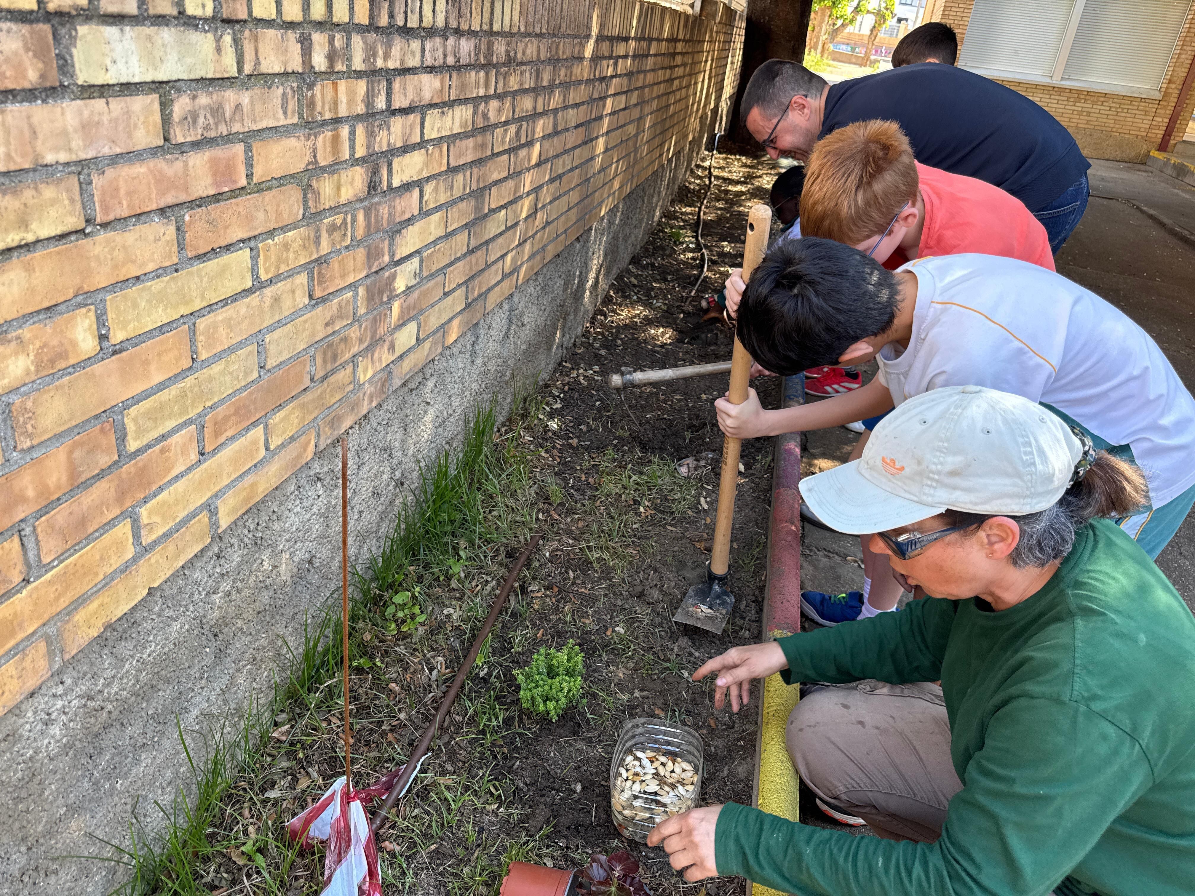 Plantación Binéfar escolares.