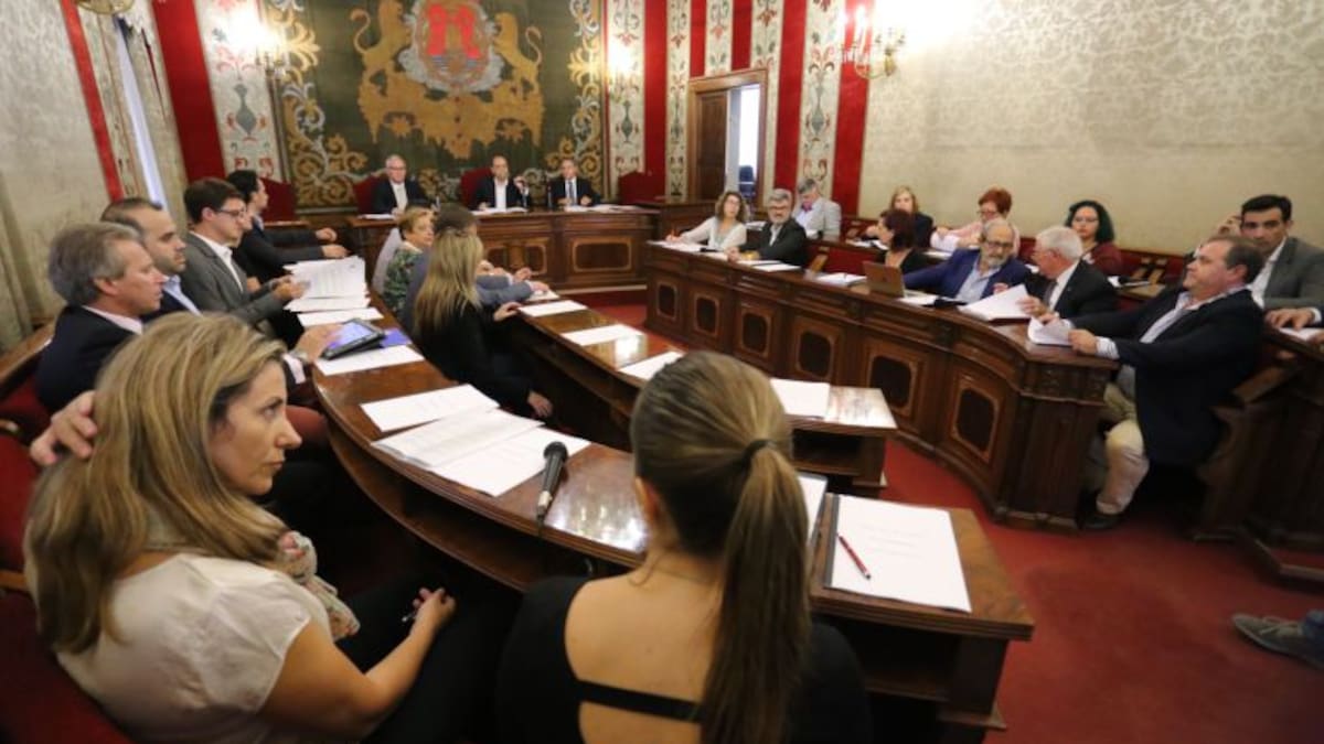 Se aprueba la apertura comercial domingos y festivos en Maisonnave