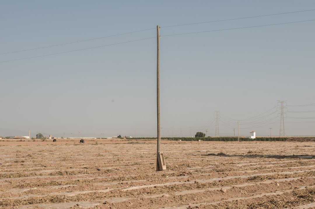 Campo de Cartagena