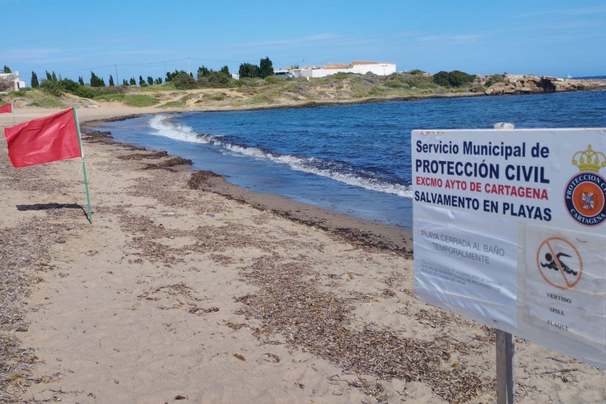 El Ayuntamiento de Cartagena cierra al baño la playa de Cala Reona.