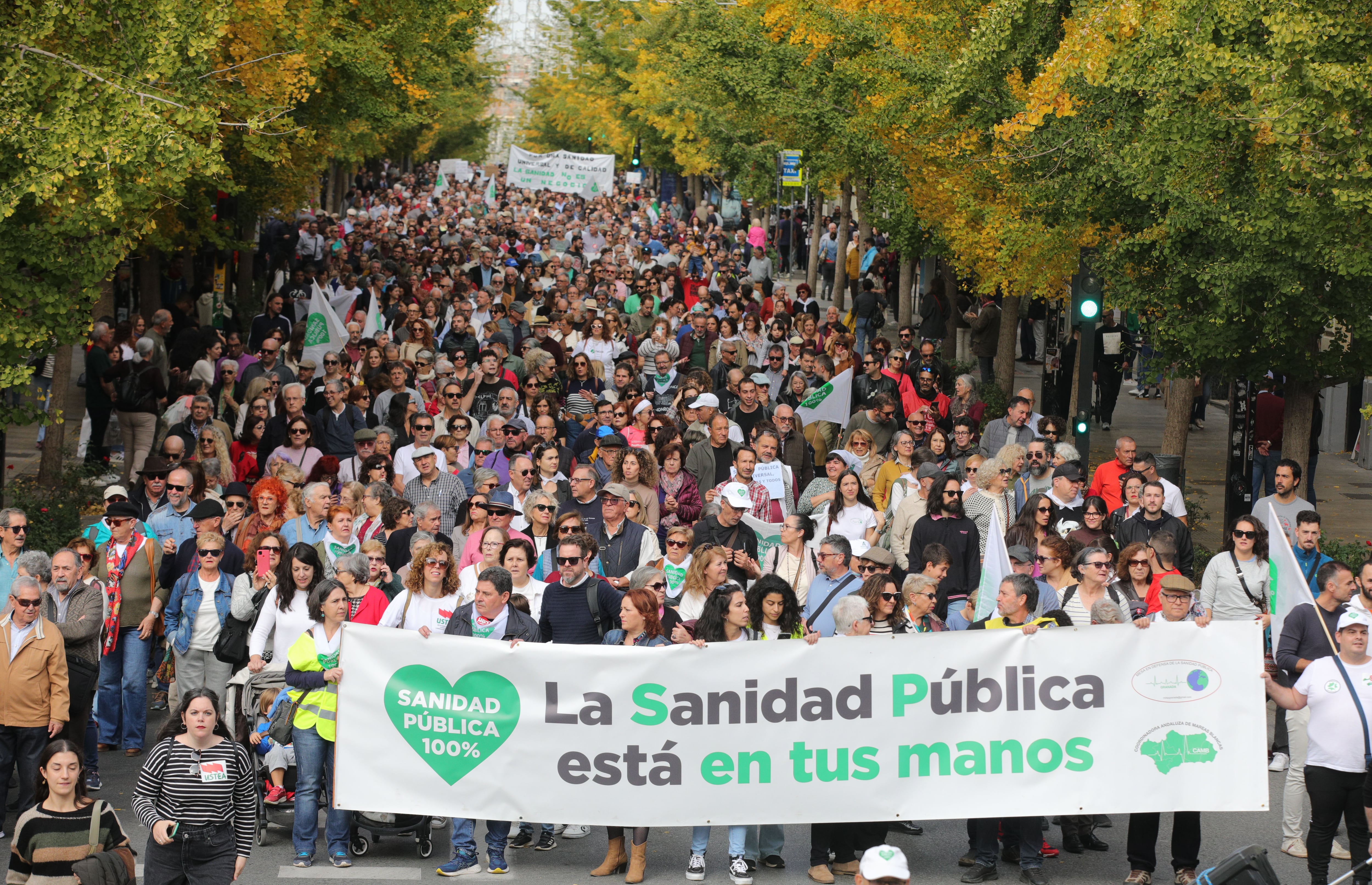 La manifestación a favor de la Sanidad Pública.