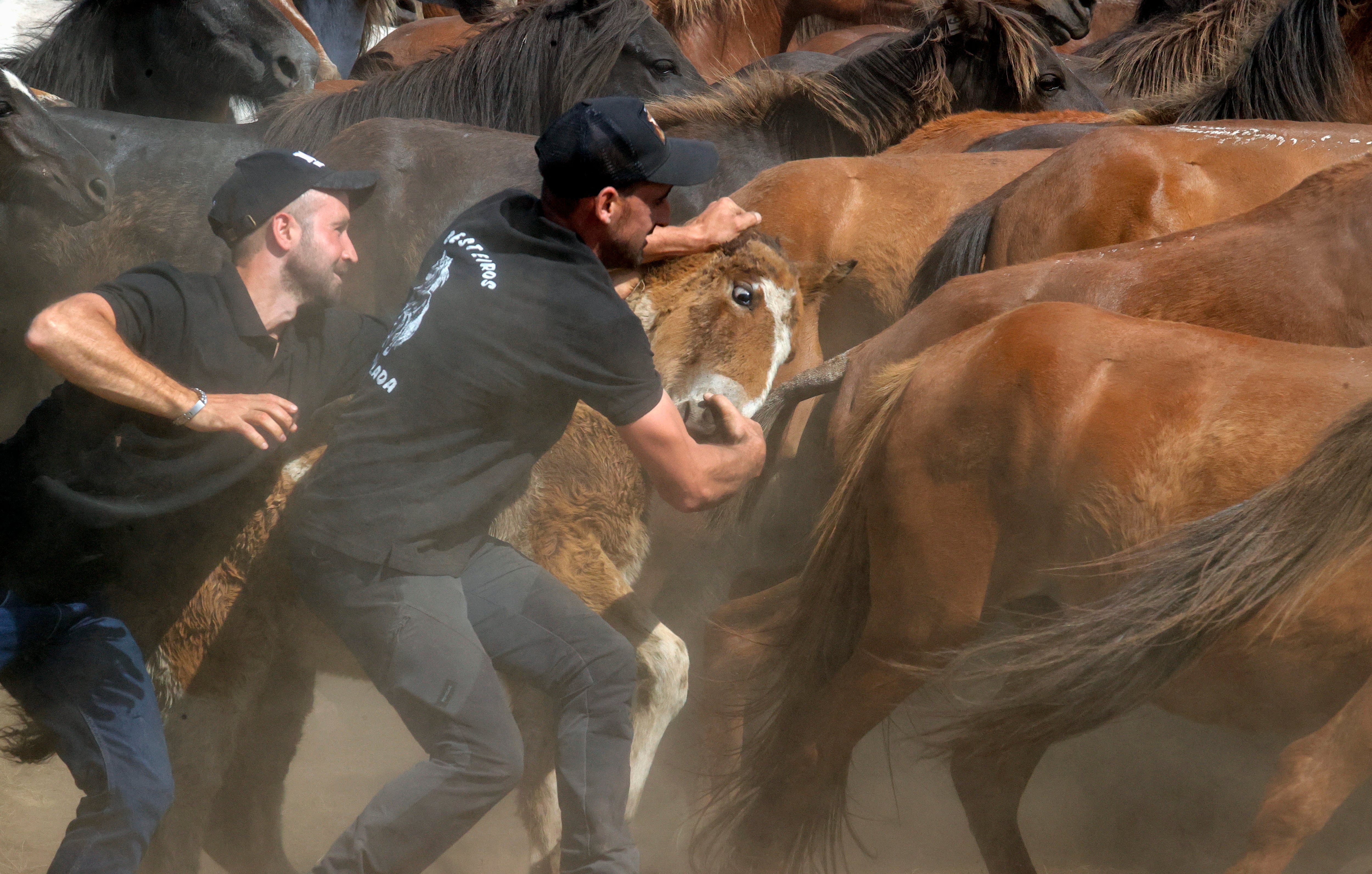 CEDEIRA, 04/06/2023.- Cedeira celebra este domingo su emblemática Rapa das Bestas en el curro de la sierra de A Capelada, que adquirió más popularidad gracias a la serie televisiva &quot;Rapa&quot;, protagonizada por Javier Cámara y Mónica López. EFE/ Kiko Delgado.