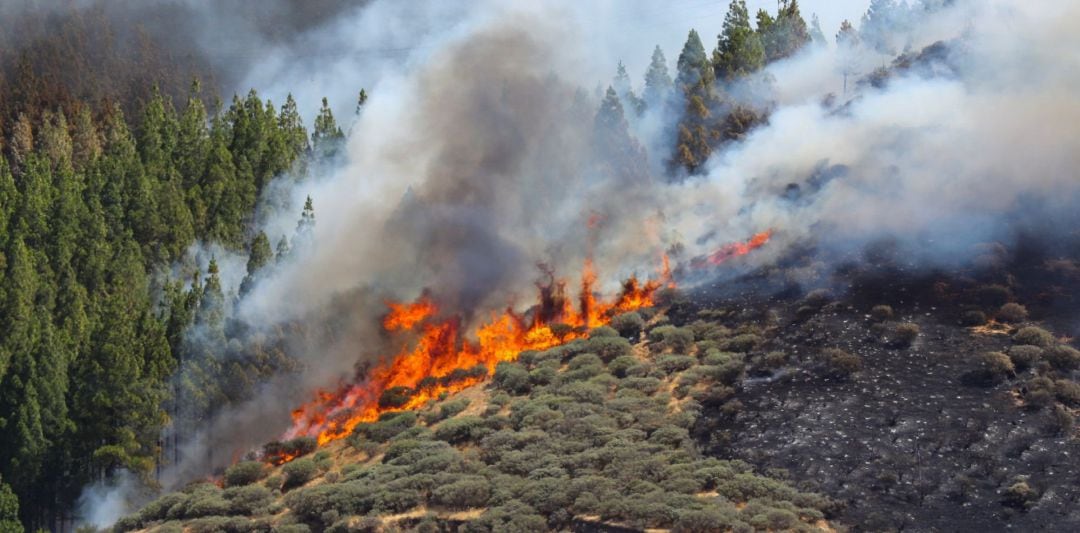 Vista del incendio declarado este sábado en la zona de Artenara en el oeste de la isla de Gran Canaria.