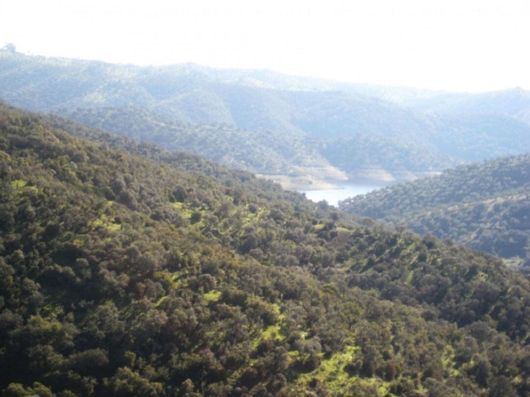 Pantano de El Arenoso.