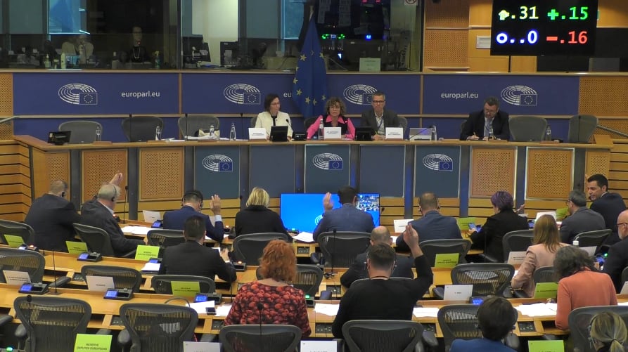 Votación en la Comisión de Peticiones del Parlamento Europeo, una imagen de archivo