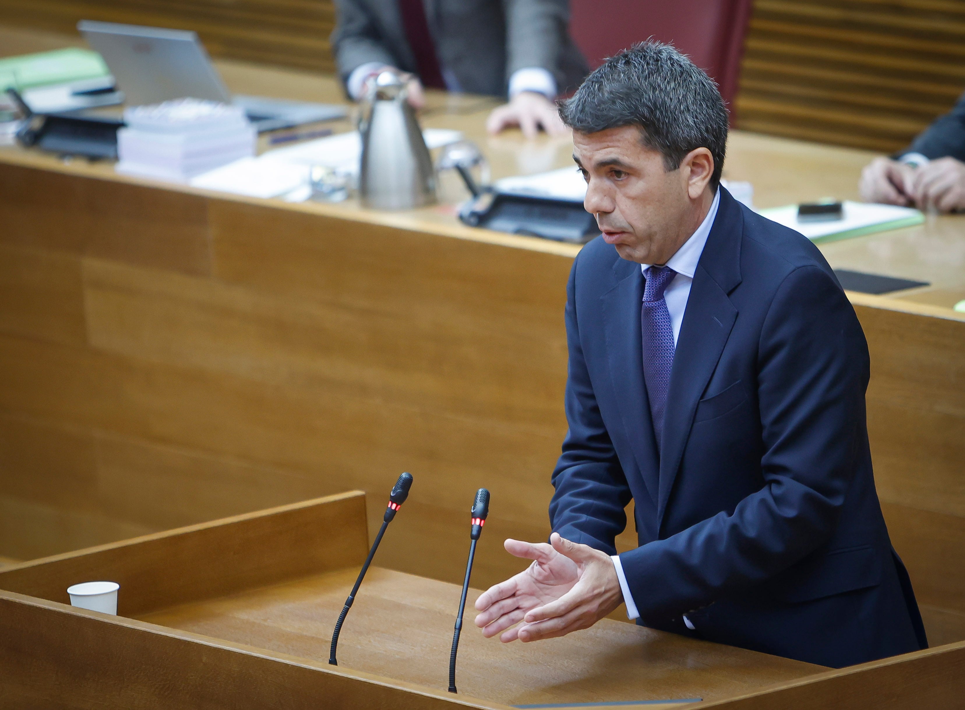 Ple de Les Corts Valencianes. (Foto: José Cuéllar/Corts Valencianes)