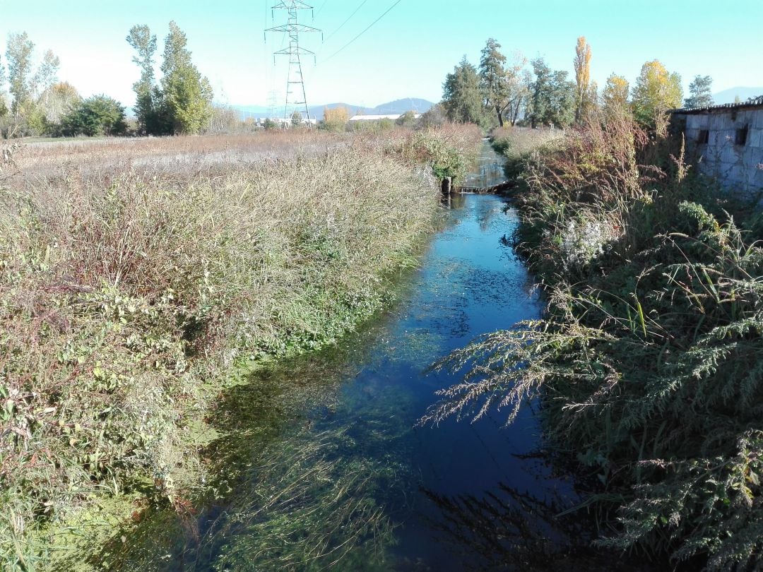 Canal de riego