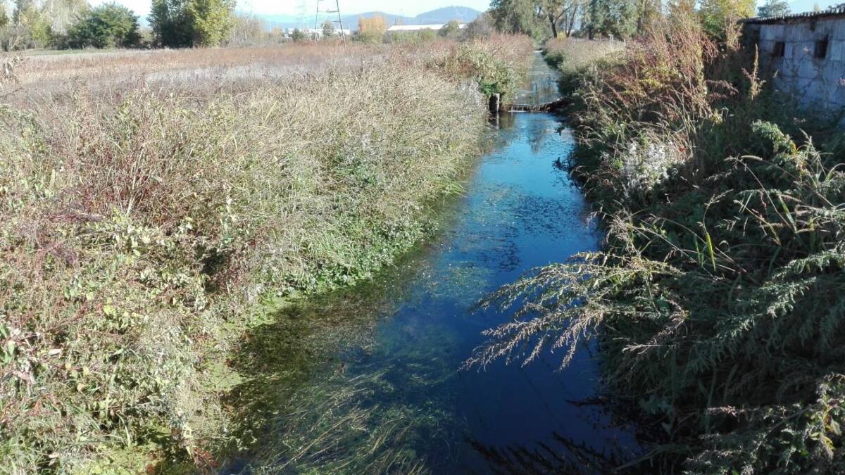 La agricultura berciana reclama que se reactive la modernización