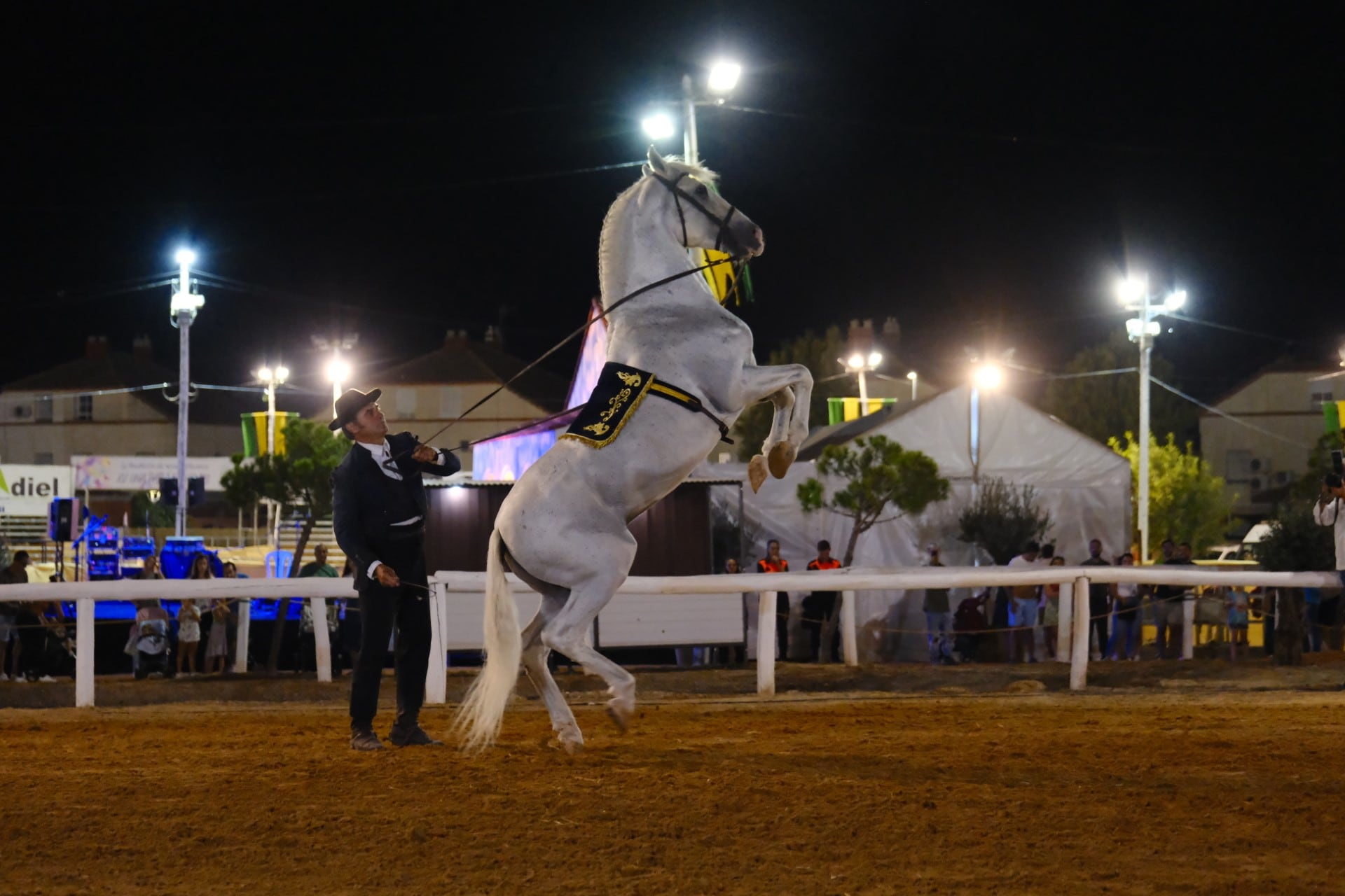 Concurso Morfofuncional de Caballos de Pura Raza Española “Ciudad de Gines”