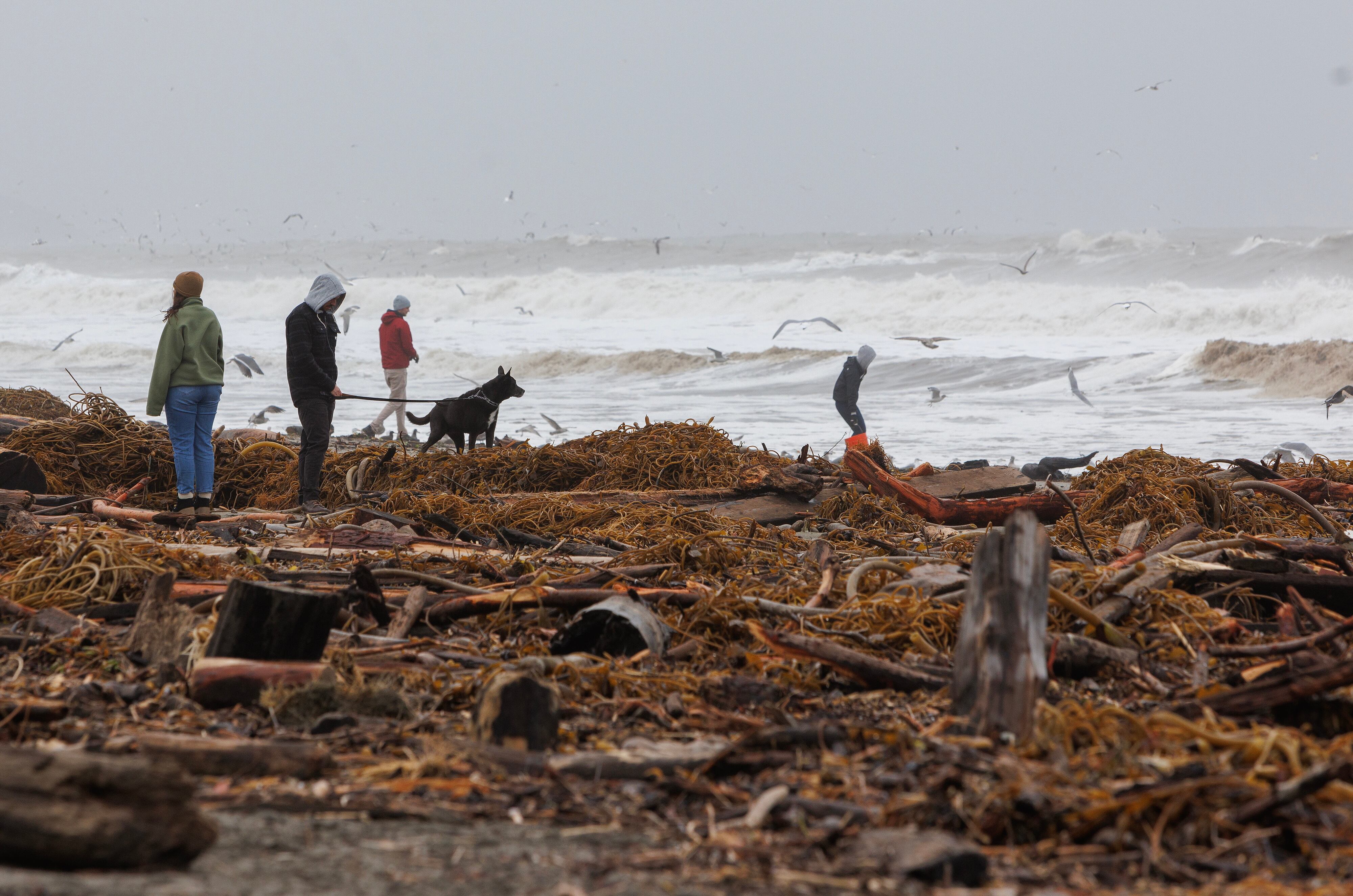 Escombros en la playa de Aptos, California