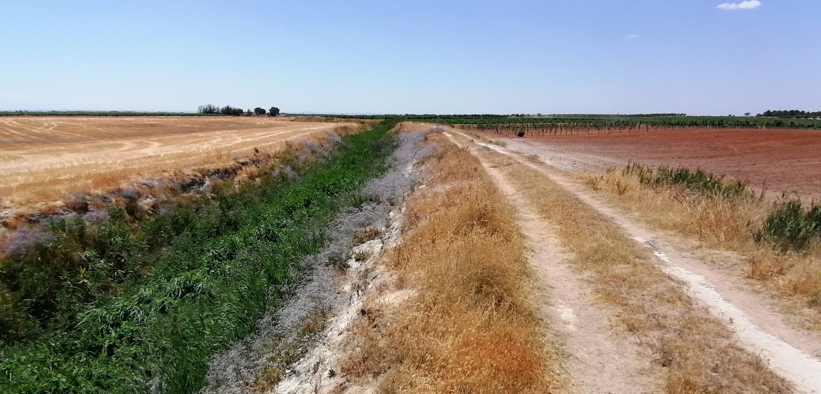 El trazado avanza cruzando campos de cereal y viñedo.