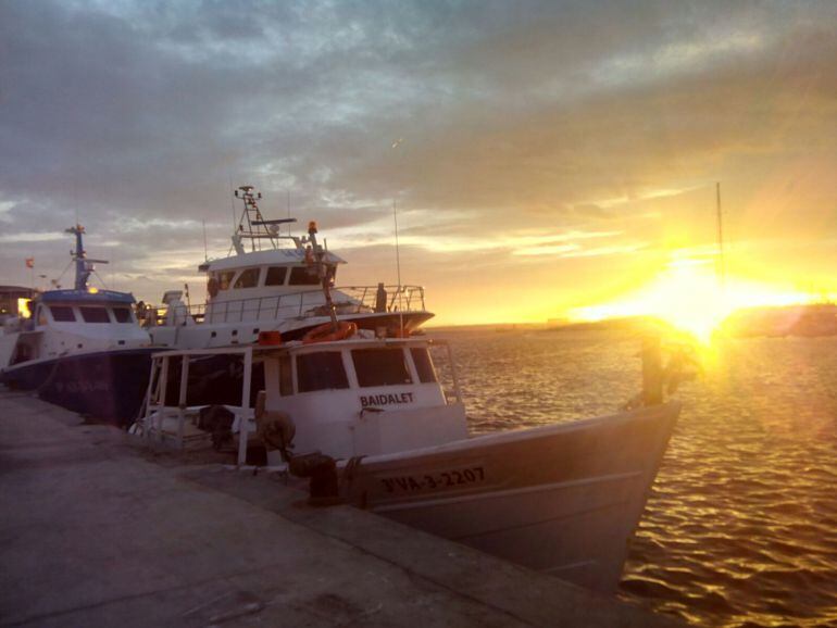 Una imagen del puerto de Santa Pola