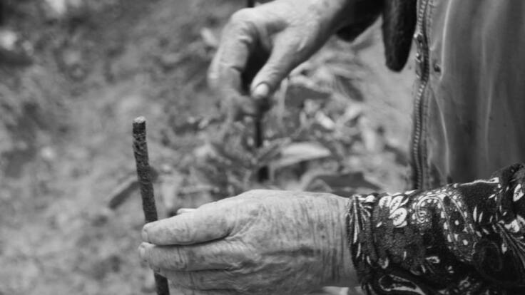 Las abuelas, el sustento de lo rural