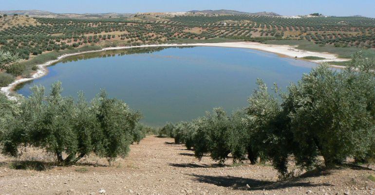 La Laguna Grande, uno de los espacios declarados como Zona Especial de Conservación, rodeada de olivos.