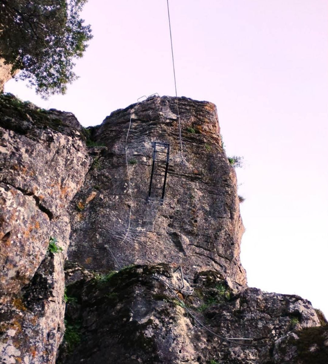 El Hacho de Gaucín (Málaga)