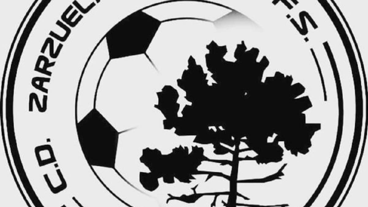 Javier Ortega, presidente del CD Zarzuela del Pinar, explica los motivos para retirarse de la competición