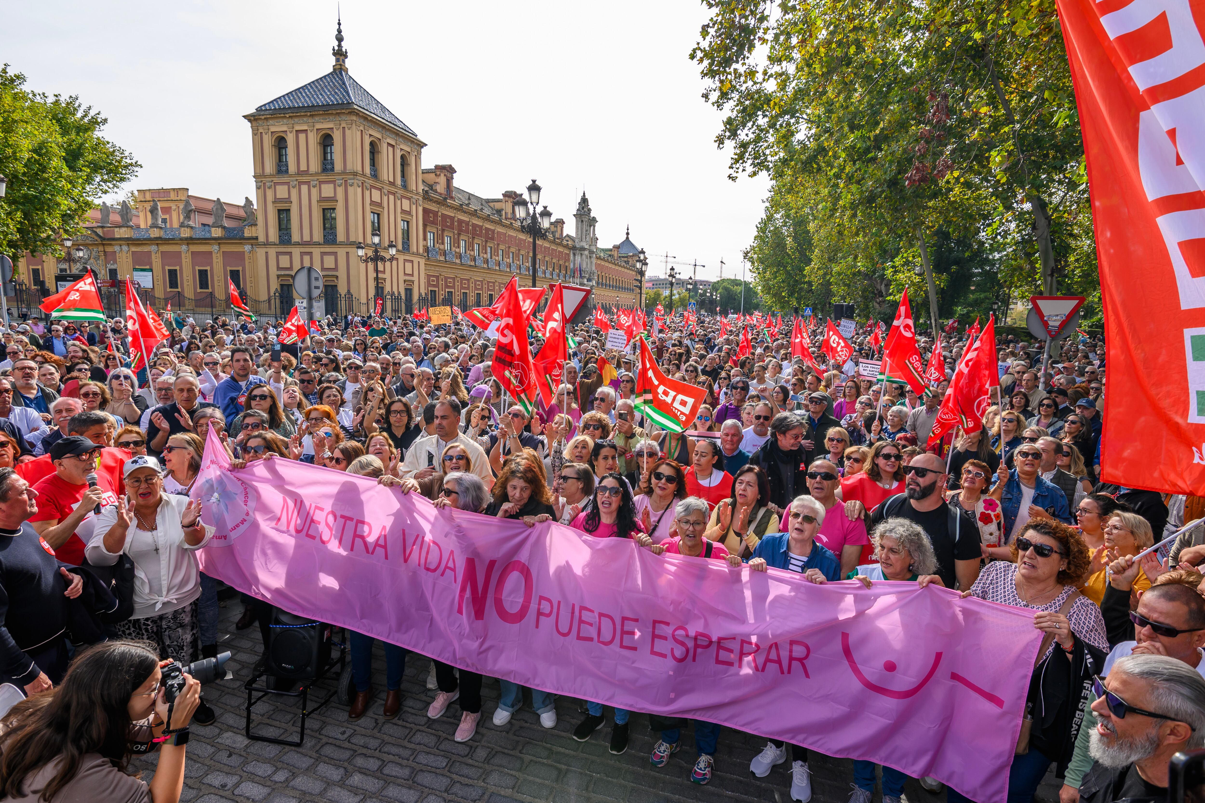 Miembros de AMAMA participan en la la manifestación por la Sanidad Pública celebrada este domingo en Sevilla.