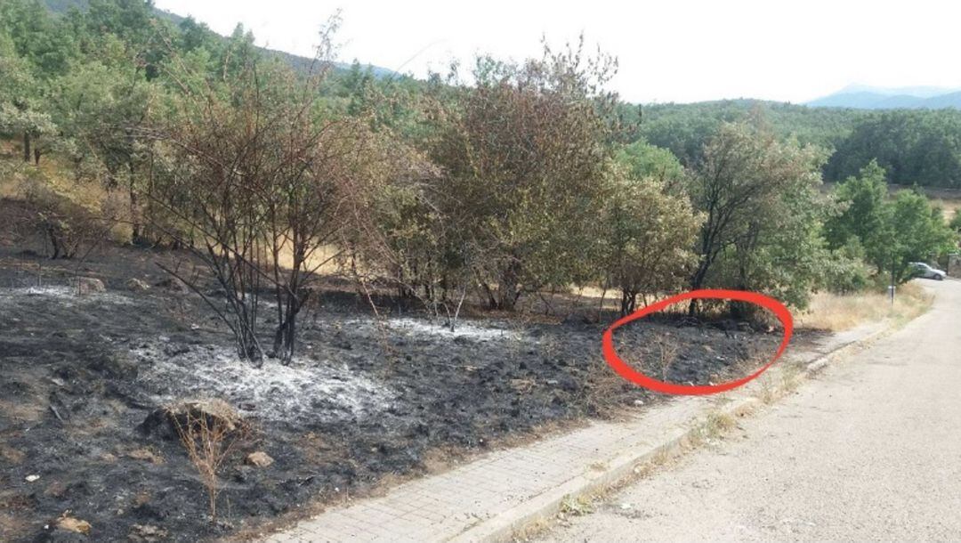 Imagen de la parcela donde se inició el fuego remitida por los vecinos del Caserío de Urgel