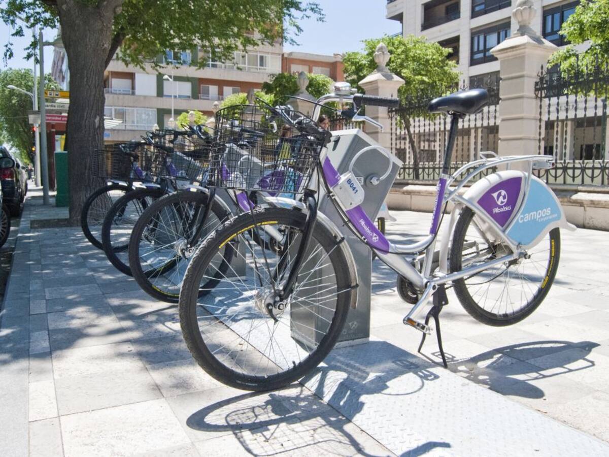 "Si se conociera la nueva adjudicataria de Albabici ya, se podría dar continuidad al servicio"