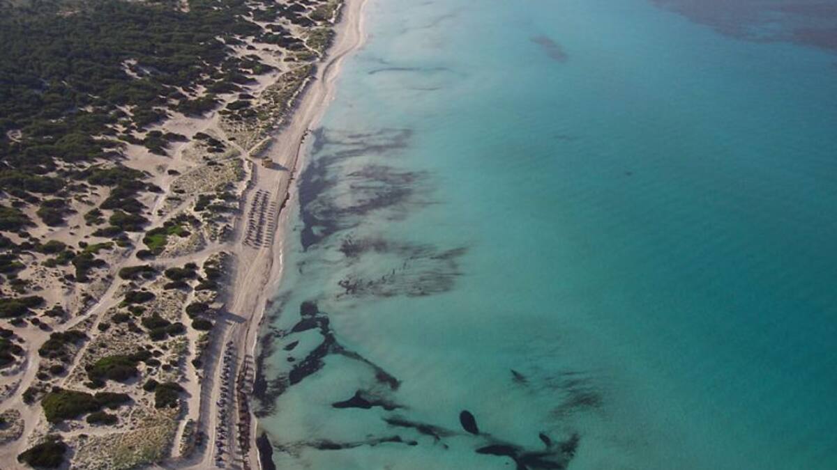 EL GOB plantea ampliar la lista de actividades prohibidas en Es Trenc-Salobrar