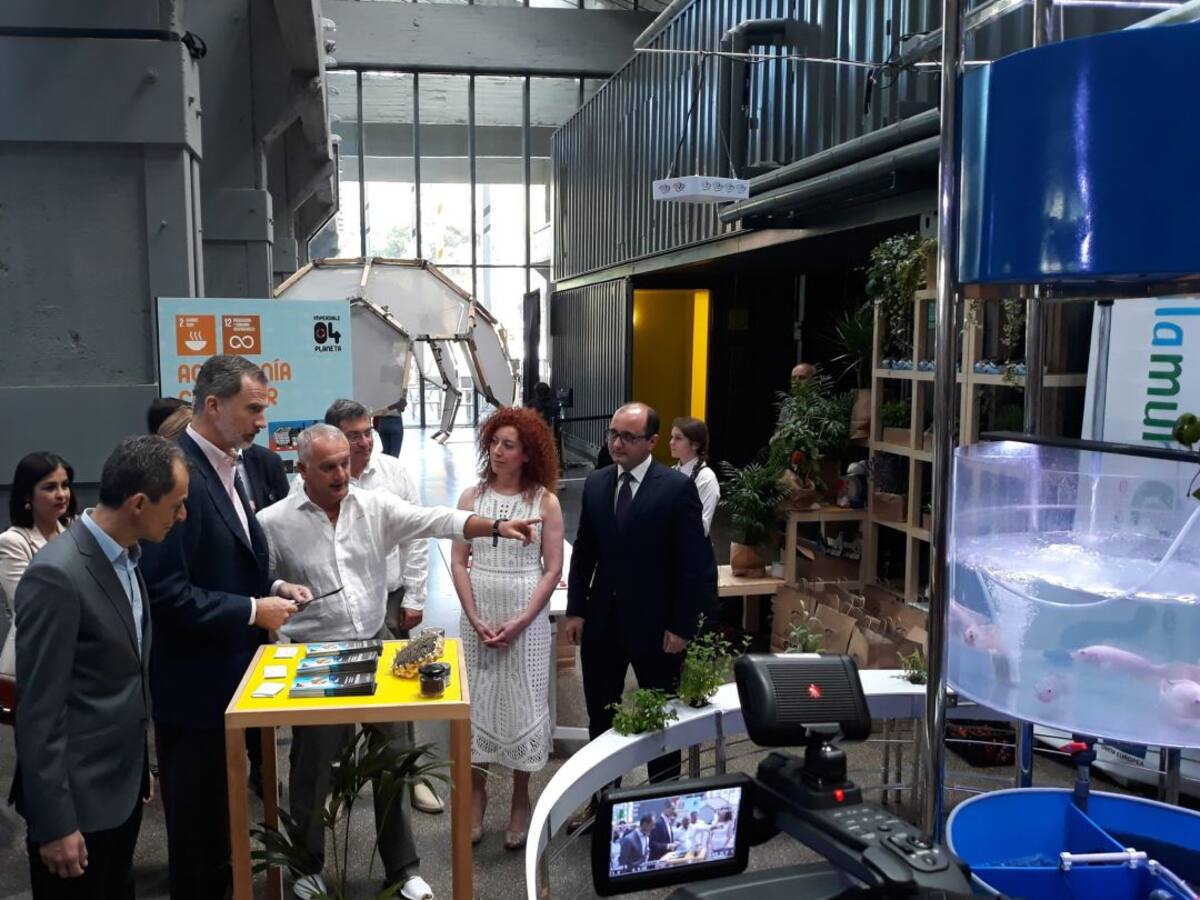 Acuaponía de Murcia para luchar contra el hambre... y cultivar tomates en el Polo Sur