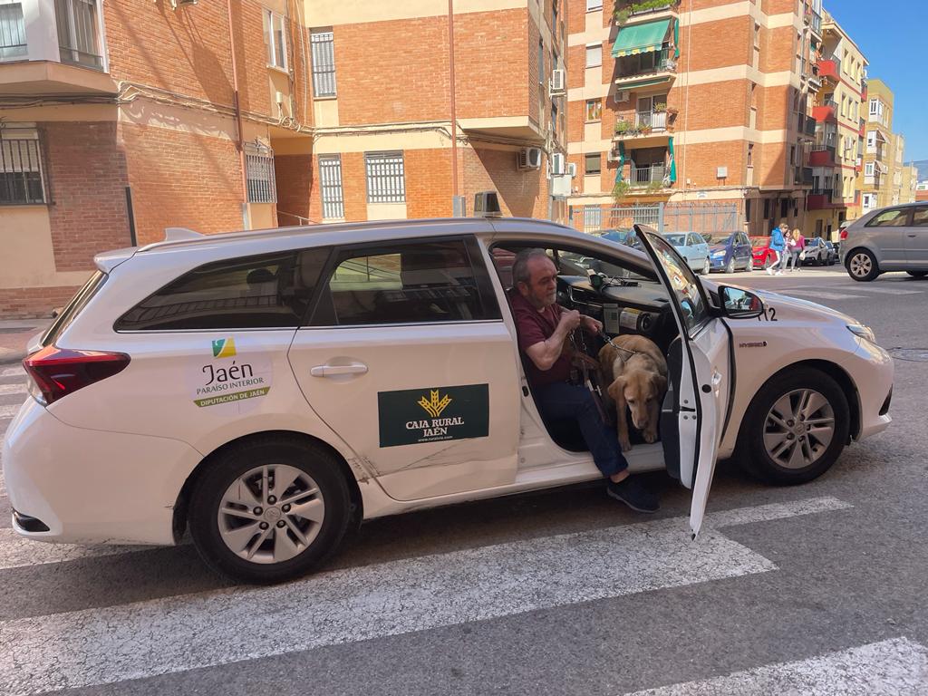 El dueño de un perro guía sale de un taxi con él.